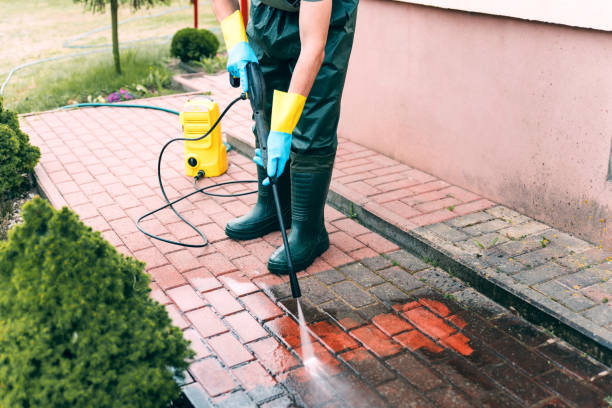 Trusted Bellair Meadowbrook Terrace, FL Pressure Washing Experts